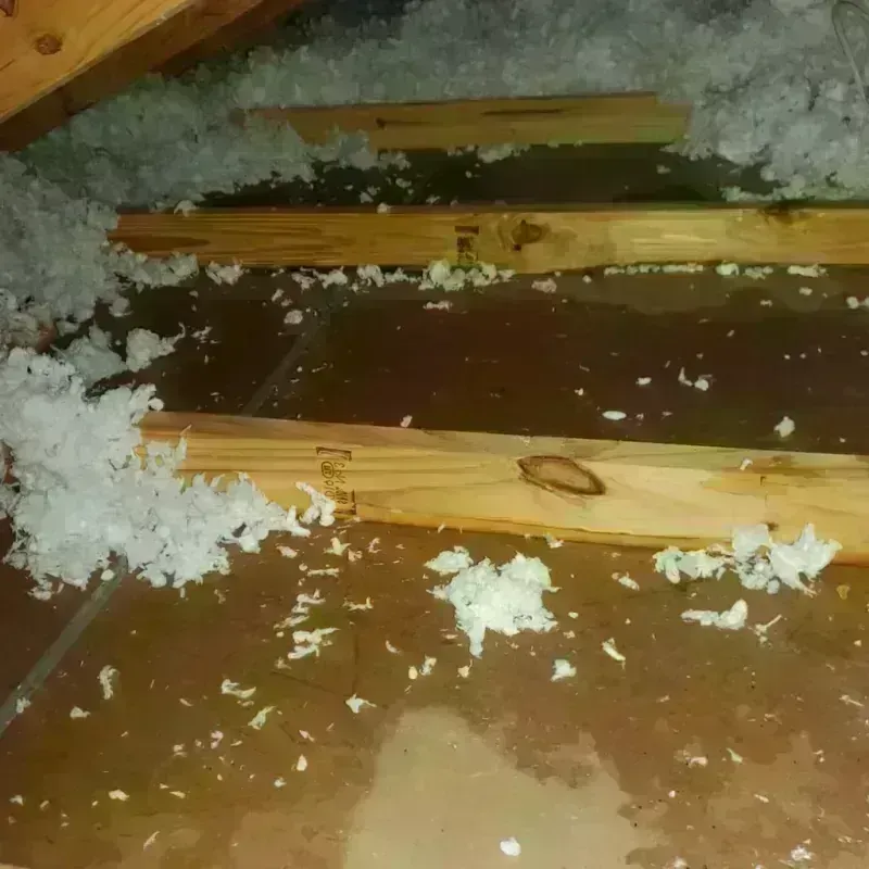 Attic Water Damage in Sandy Hills, UT